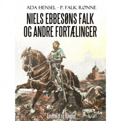 Niels Ebbesøns falk og andre fortælinger