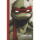 Teenage Mutant Ninja Turtles: The IDW Collection Volume 1
