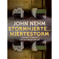 Stormhjerte... Hjertestorm