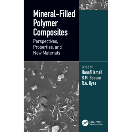 Mineral-Filled Polymer Composites: Perspectives, Properties, and New Materials