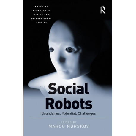 Social Robots: Boundaries, Potential, Challenges