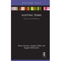 Auditing Teams: Dynamics and Efficiency