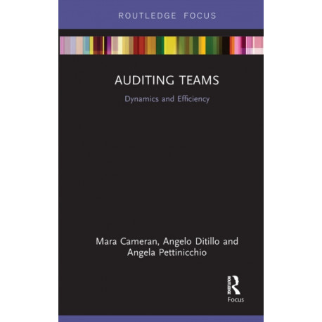 Auditing Teams: Dynamics and Efficiency