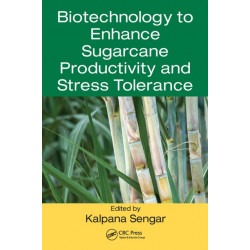 Biotechnology to Enhance Sugarcane Productivity and Stress Tolerance