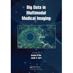 Big Data in Multimodal Medical Imaging