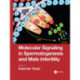Molecular Signaling in Spermatogenesis and Male Infertility