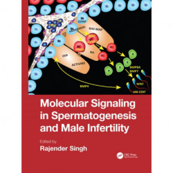 Molecular Signaling in Spermatogenesis and Male Infertility