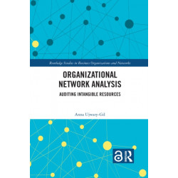 Organizational Network Analysis: Auditing Intangible Resources