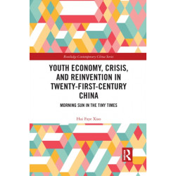 Youth Economy, Crisis, and Reinvention in Twenty-First-Century China: Morning Sun in the Tiny Times