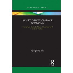 What Drives China’s Economy: Economic, Socio-Political, Historical and Cultural Factors