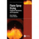 Flame Spray Drying: Equipment, Mechanism, and Perspectives