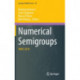Numerical Semigroups: IMNS 2018