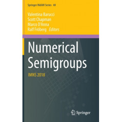 Numerical Semigroups: IMNS 2018