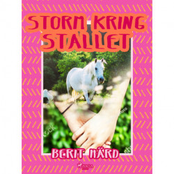 Storm kring stallet