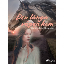 Den långa vägen hem