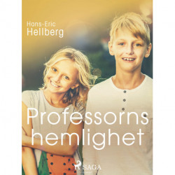 Professorns hemlighet