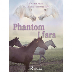 Phantom i fara