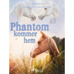 Phantom kommer hem