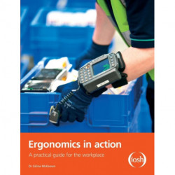Ergonomics in Action: A Practical Guide for the Workplace