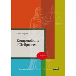 Kompendium i civilproces