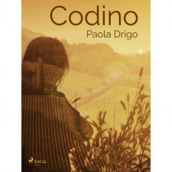 Codino