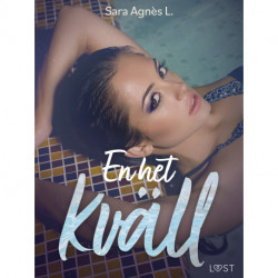 En het kväll - erotisk novell