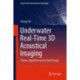 Underwater Real-Time 3D Acoustical Imaging: Theory, Algorithm and System Design