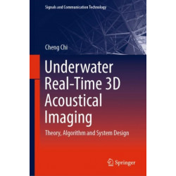Underwater Real-Time 3D Acoustical Imaging: Theory, Algorithm and System Design
