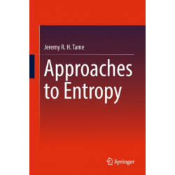 Approaches to Entropy