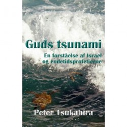 Guds tsunami: en forståelse af Israel og endetidsprofetierne