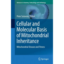 Cellular and Molecular Basis of Mitochondrial Inheritance: Mitochondrial Disease and Fitness