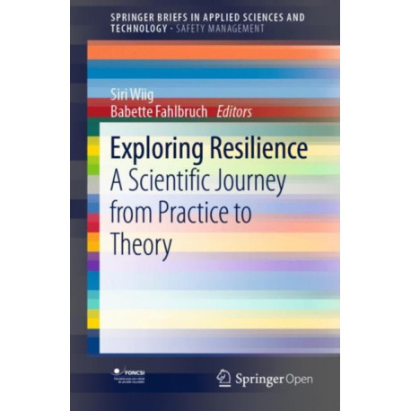 Exploring Resilience: A Scientific Journey from Practice to Theory