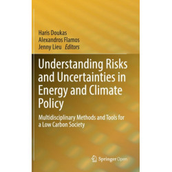 Understanding Risks and Uncertainties in Energy and Climate Policy: Multidisciplinary Methods and Tools for a Low Carbon Society