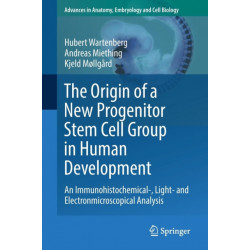 The Origin of a New Progenitor Stem Cell Group in Human Development: An Immunohistochemical-, Light- and Electronmicroscopical Analysis