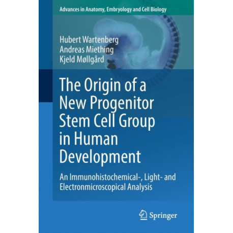The Origin of a New Progenitor Stem Cell Group in Human Development: An Immunohistochemical-, Light- and Electronmicroscopical Analysis