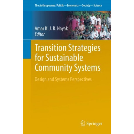 Transition Strategies for Sustainable Community Systems: Design and Systems Perspectives