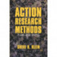 Action Research Methods: Plain and Simple