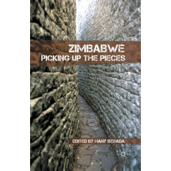 Zimbabwe: Picking up the Pieces