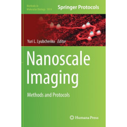 Nanoscale Imaging: Methods and Protocols