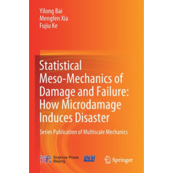 Statistical Meso-Mechanics of Damage and Failure: How Microdamage Induces Disaster: Series Publication of Multiscale Mechanics