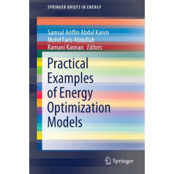 Practical Examples of Energy Optimization Models