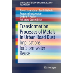 Transformation Processes of Metals in Urban Road Dust: Implications for Stormwater Reuse