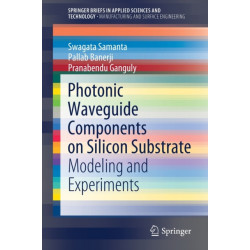 Photonic Waveguide Components on Silicon Substrate: Modeling and Experiments