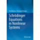 Schrodinger Equations in Nonlinear Systems