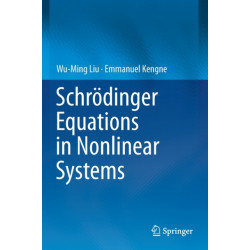 Schrodinger Equations in Nonlinear Systems