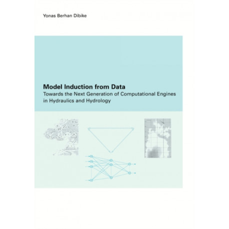 Model Induction from Data: Towards the next generation of computational engines in hydraulics and hydrology