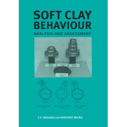 Soft Clay Behaviour Analysis and Assessment