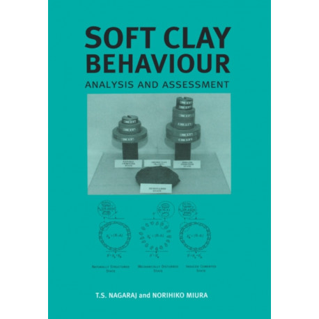 Soft Clay Behaviour Analysis and Assessment