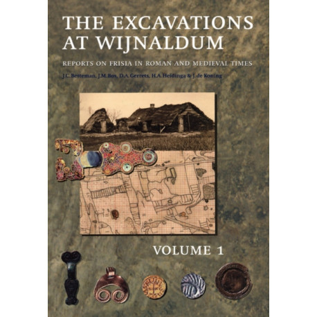 The Excavation Near Wijnaldum