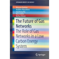 The Future of Gas Networks: The Role of Gas Networks in a Low Carbon Energy System